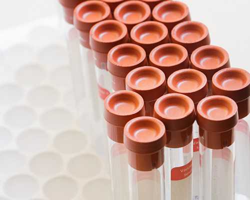 天津有代怀网站吗,天津最好的借卵子分娩的私立医院在哪里？天津市2026
家正规