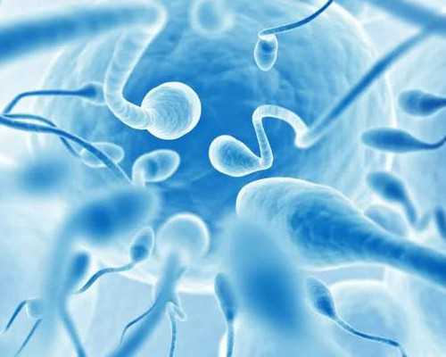 天津专业供卵助孕,天津本地供卵试管机构排名2026年天津供卵时间预估