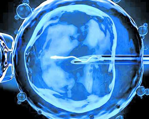 天津供卵助孕案例,天津最好的供卵公司（人工捐卵是什么）