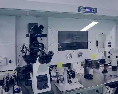 家恩德运能做供卵吗,试管婴儿移植后腹痛怎么办？_上海供卵第三代试管_移植当