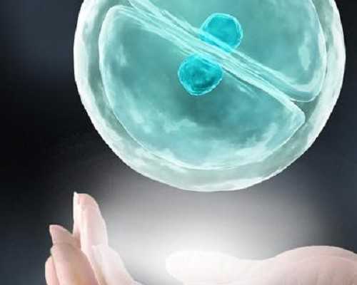 取卵后吃维生素e能否恢复卵巢，这几类食物ve含量都很高！