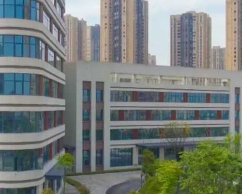 供卵生子,三代试管生男宝费用高吗？(三代试管三代试管价格)