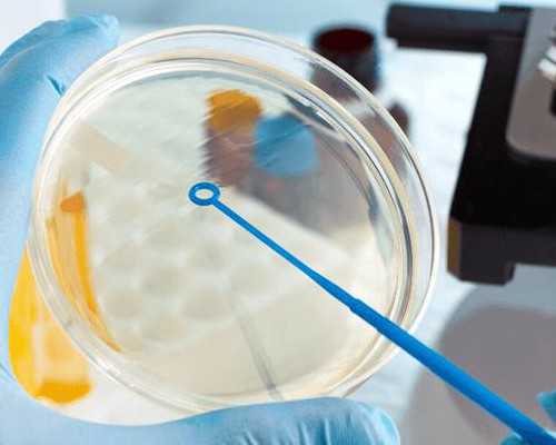 天津试管三代供卵,天津民营医院供卵试管费用明细，2026天津私立供卵机构排名