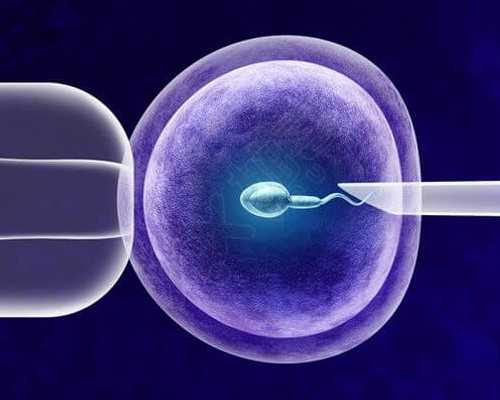 羊水过多孕妇有什么症状,羊水过多吃什么降得快