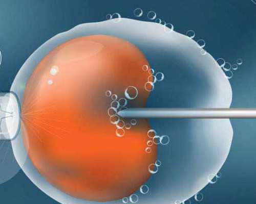 高龄失独二胎,老公弱精做试管做几代_老公弱精试管做几代试管