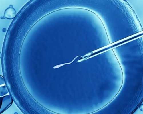 试管婴儿后可以上班吗？