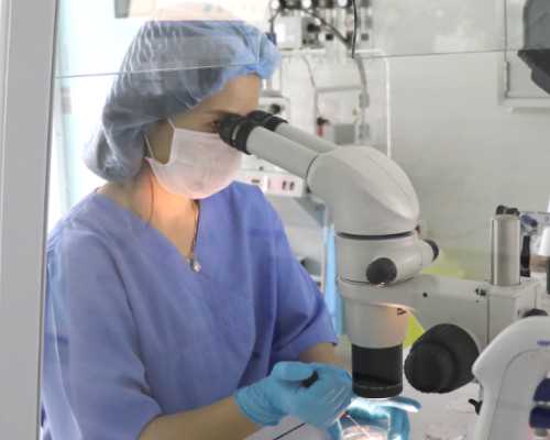 泰国可以进行试管供卵吗,生二胎做试管婴儿详细攻略-深圳孕宝国际三代试管