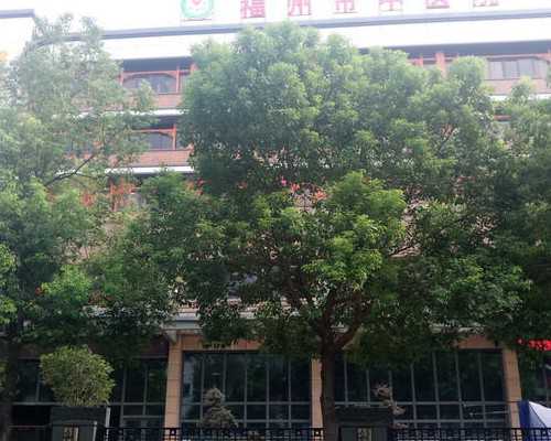 济南山大供卵中心,多囊能做试管吗？多囊做试管能成功吗-上海哪里可以做供卵