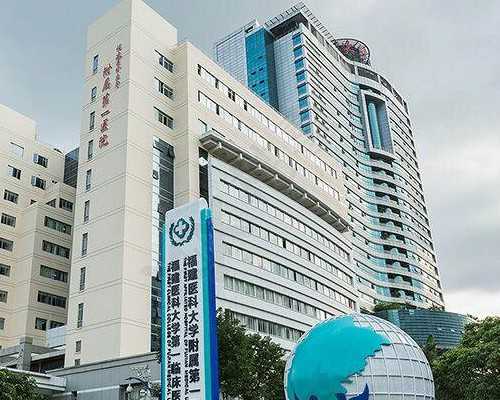 广州3代试管供卵,湛江三代试管和二代试管的区别