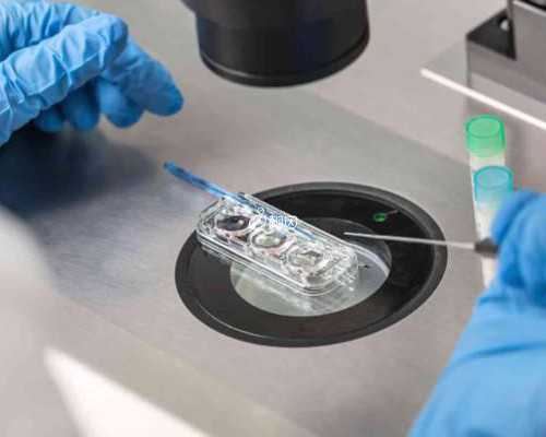 国内私立机构做三代试管并不能包生男孩包生男孩套餐根本不靠谱！