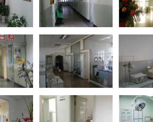 深圳春晖供卵试管,试管婴儿是在试管里长大的?