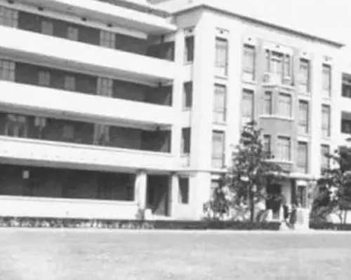 生物合金烤瓷牙多少钱一颗?材料及优缺点怎么样对比全瓷牙