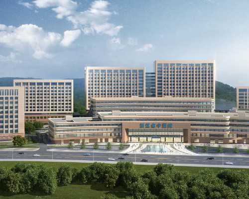 天津职业代怀妈妈,同性恋家庭赴柬埔寨做试管婴儿怎么样?同性恋试管有哪些